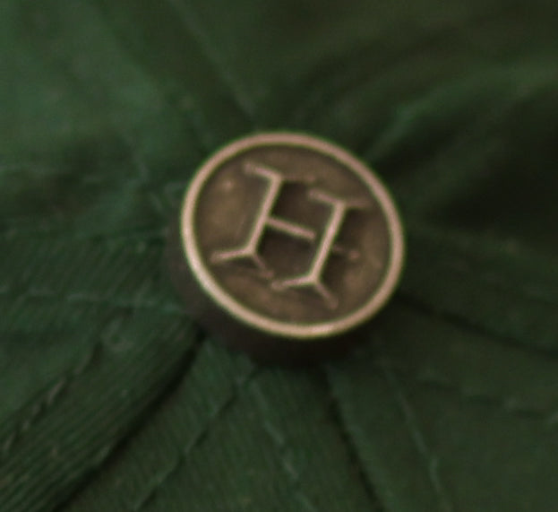 Hues Atelier Signature Cap — Forest